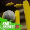 Real Cricket 22 Mod APK